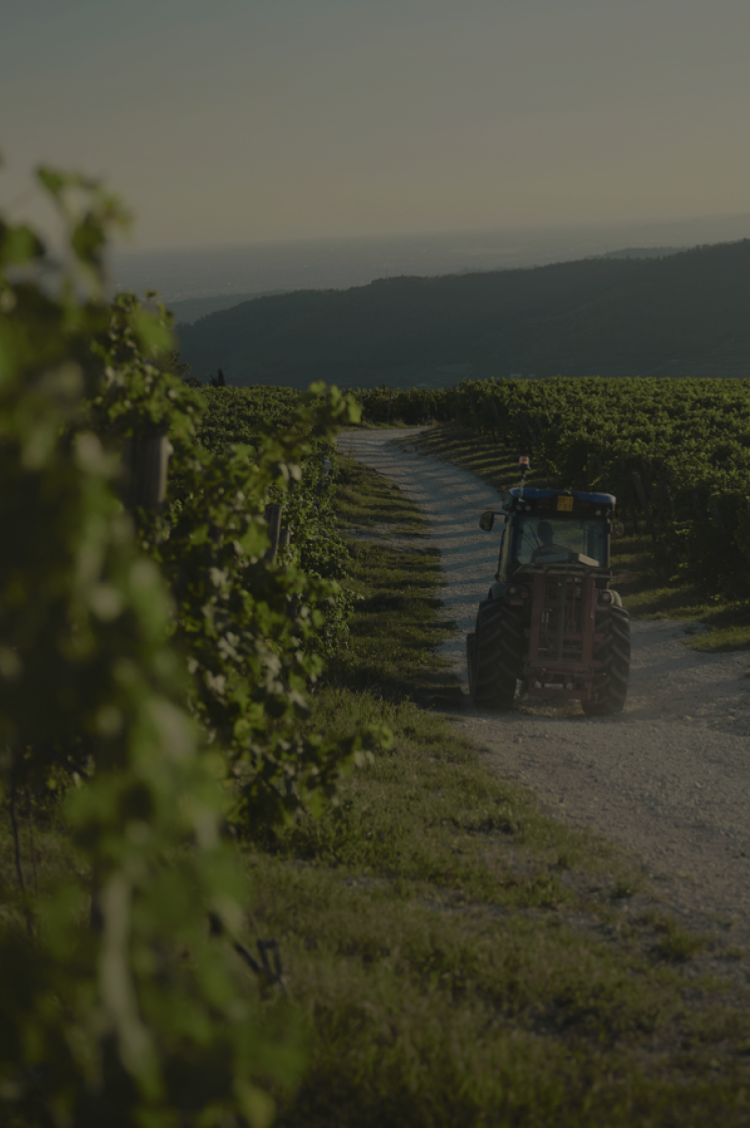 wineries-producers